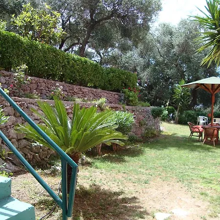 Ipsia باليوكاستريتسا